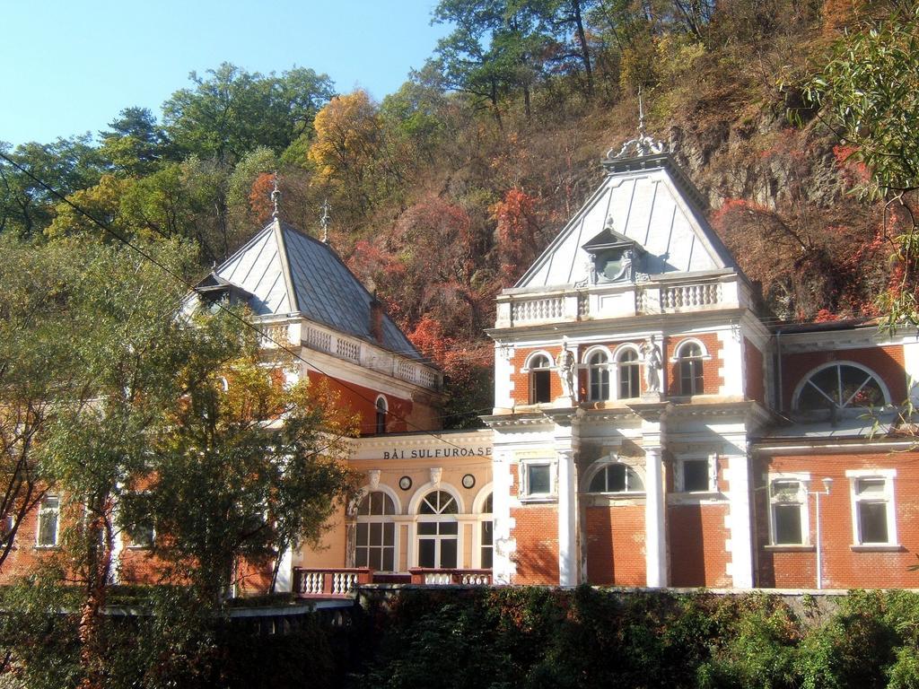 Pensiunea Floare De Colt Hotel Байле Херкулане Екстериор снимка